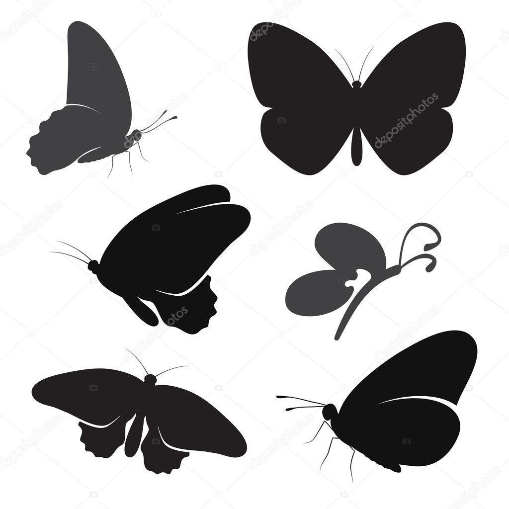 Butterfly silhouette set