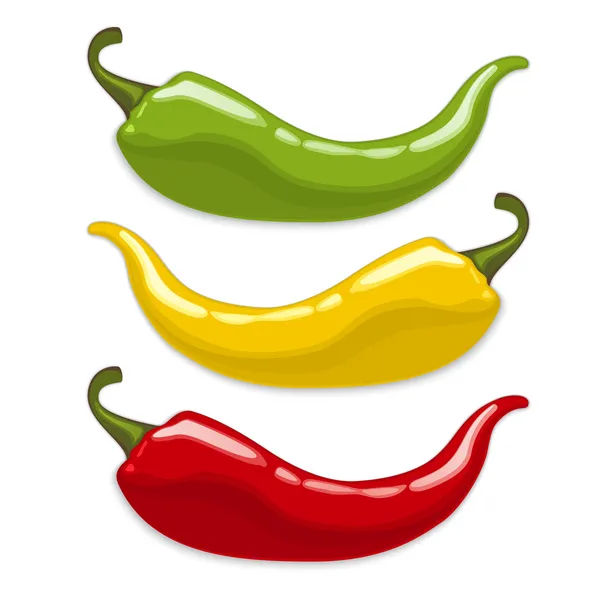 Chili peppers. Isolated vector — Stock Vector
