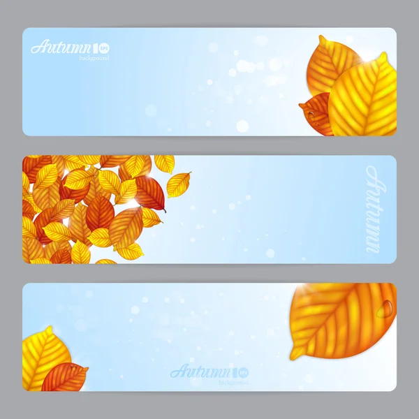 Autumn leaves banners — Stock Vector