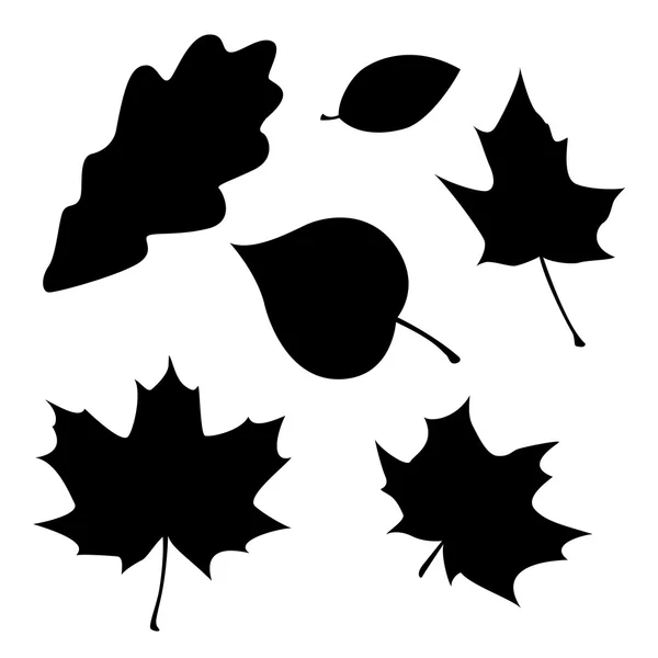 Siluet daun yang berbeda - Stok Vektor
