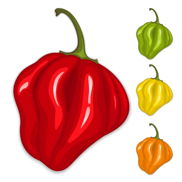 Chili habanero peppers. Isolated vector — Stock Vector