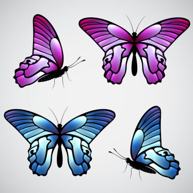 vektör renkli kelebekler
