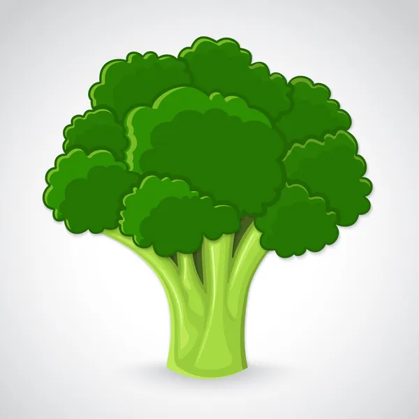 Konstnärliga vektor broccoli — Stock vektor