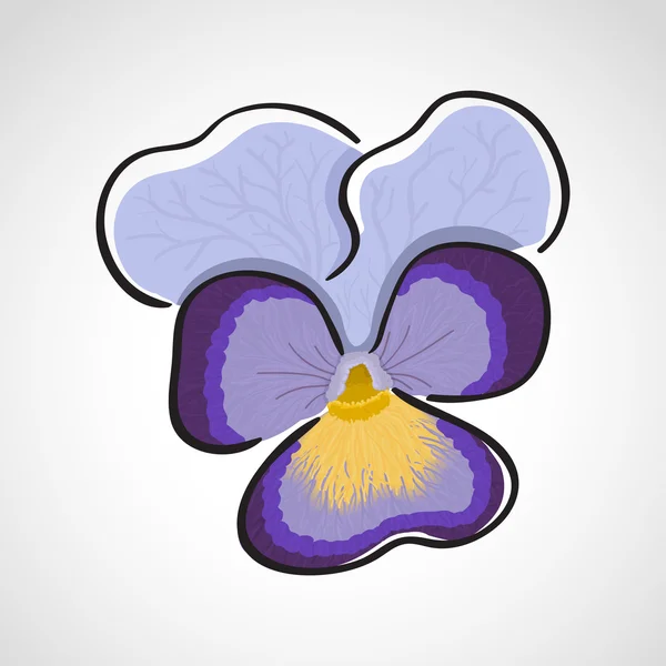 Viola (heartsease) flor — Archivo Imágenes Vectoriales