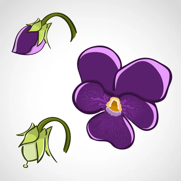 Blumenset im Skizzenstil - Stiefmütterchen — Stockvektor