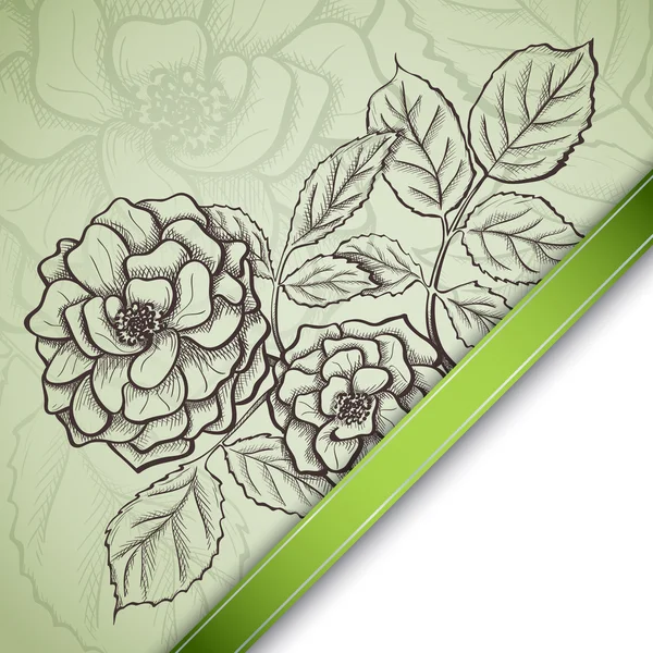 Sketch  rose background — Stock Vector