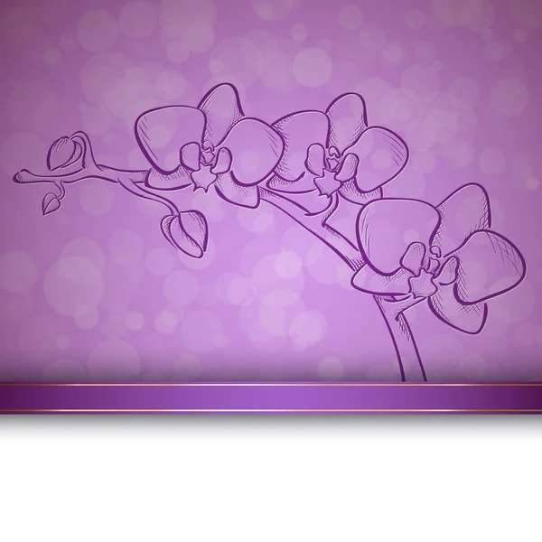 Sketch  orchid background — Stock Vector