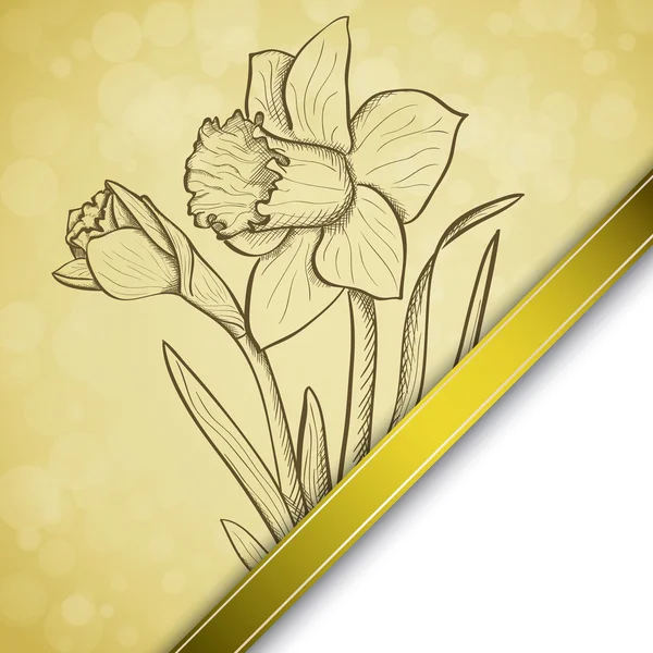 Desenho fundo daffodil —  Vetores de Stock