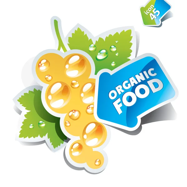 Icono de grosella con flecha por comida orgánica. Ilustración vectorial . Vectores de stock libres de derechos