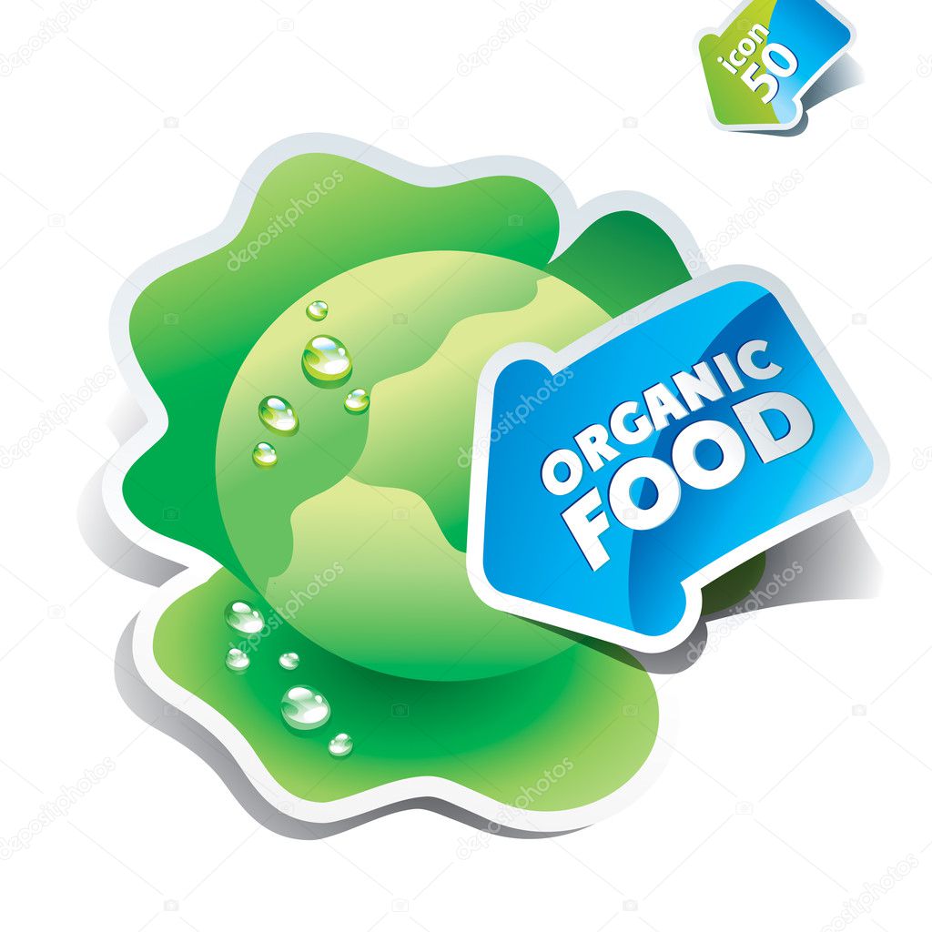 Icon cabbage with the arrow by organic food. Vector illustration