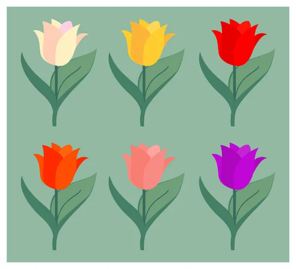 Colorful cartoon tulip flower set on green background — Stock Vector