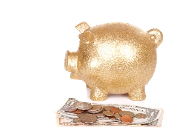 Piggy bank and money — Stock Photo, Image