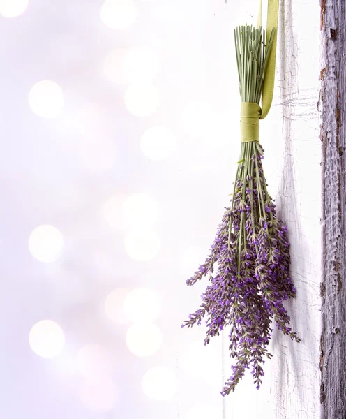 Lavendel opknoping van een oude deur — Stockfoto