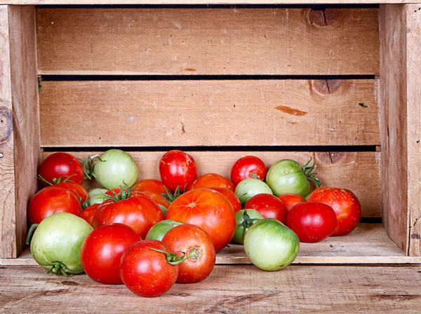 Pomodori biologici in una cassa — Foto Stock