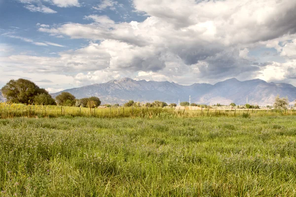 Grassy pasture with mountains Royalty Free Stock Photos