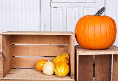 kabaklar ve gourds üzerinde bir krater