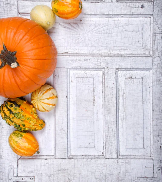 Pumpkins and gourds on an antique door panel — Stock Photo, Image