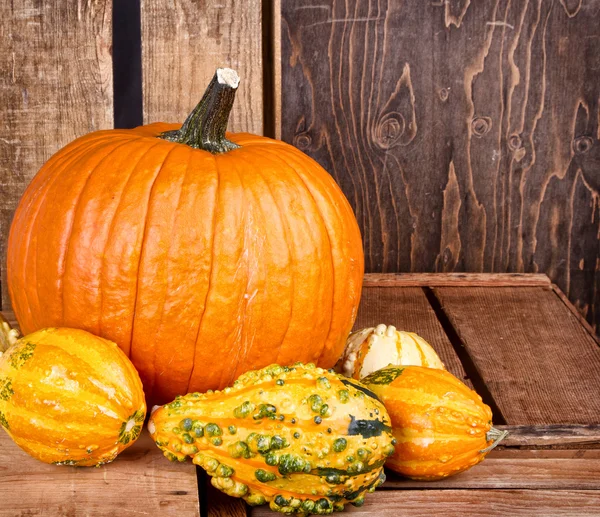 Pumpkins and gourds on a crate — Stock Photo, Image