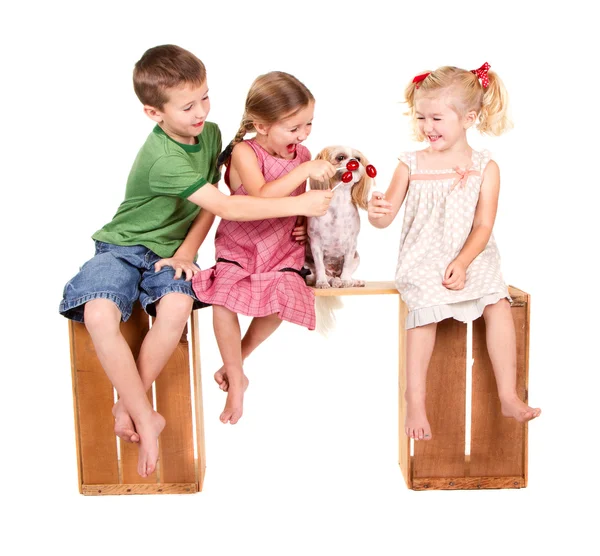 Tres niños alimentando a un perro con un lolli pop —  Fotos de Stock