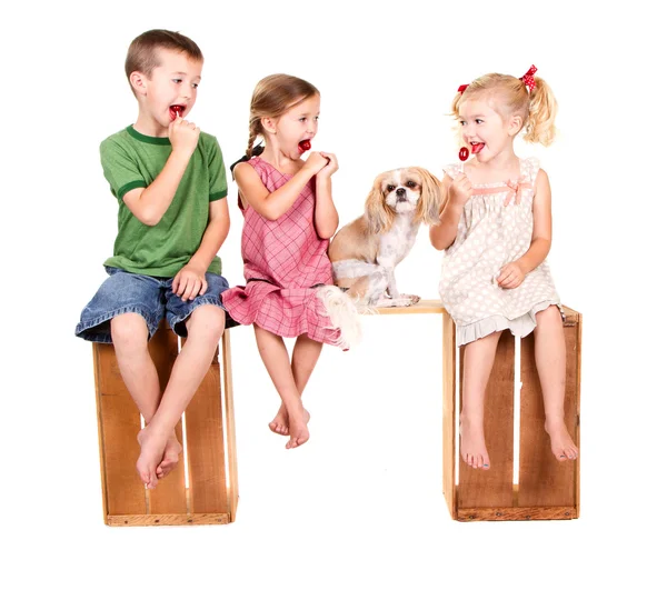 Tres niños sentados en un banco comiendo lolli pops — Foto de Stock