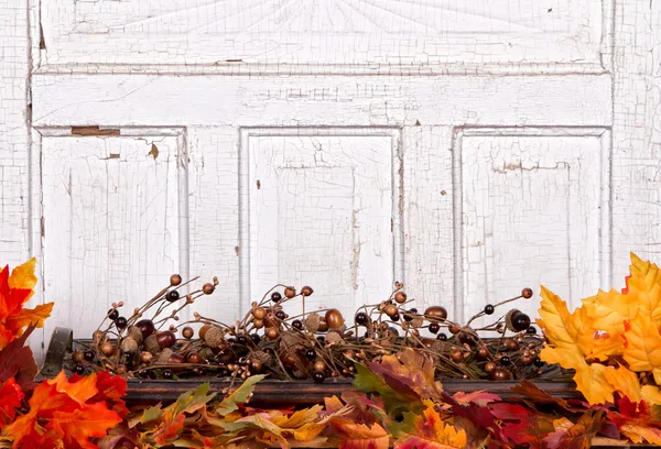 Herfst Stilleven met eikels en bladeren — Stockfoto