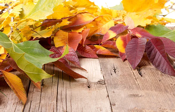 Ahşap tahta üzerinde sonbahar yaprakları — Stok fotoğraf