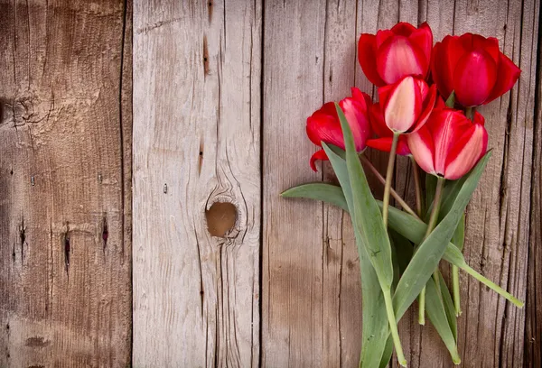 Tulipanes rojos sobre fondo de madera — Foto de Stock