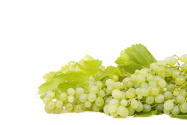 Grapes on white — Stock Photo, Image