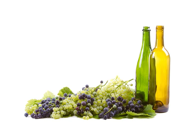 Виноград і пляшки на білому — стокове фото