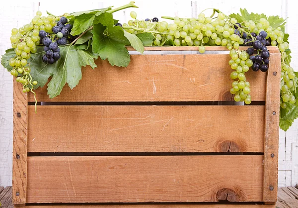 Grapes on wooden crate — Stock Photo, Image