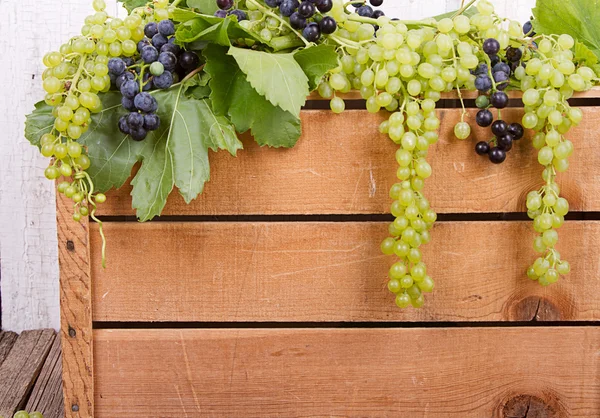 Grapes on wooden crate — Stock Photo, Image