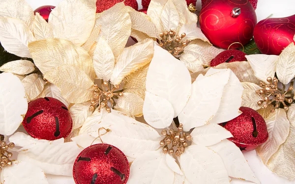 Grupo de Poinsettias — Foto de Stock