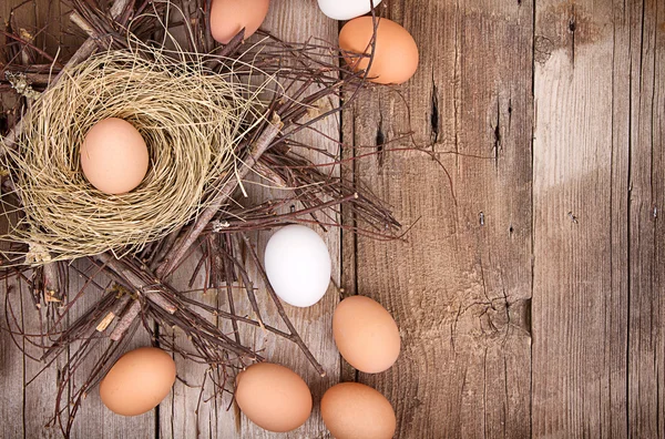 Bruine eieren in een nest — Stockfoto