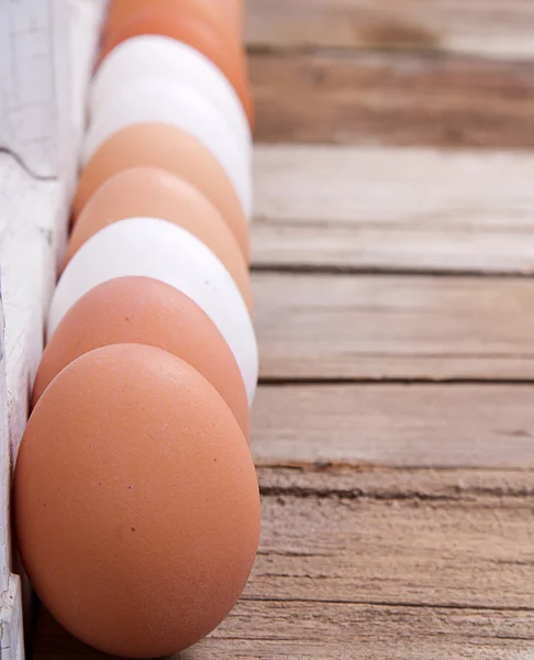 Ovos castanhos e brancos alinhados — Fotografia de Stock