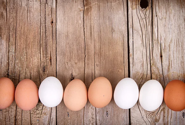 Huevos marrones y blancos alineados — Foto de Stock