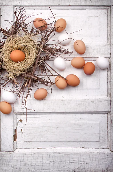 Huevos pardos en un nido — Foto de Stock