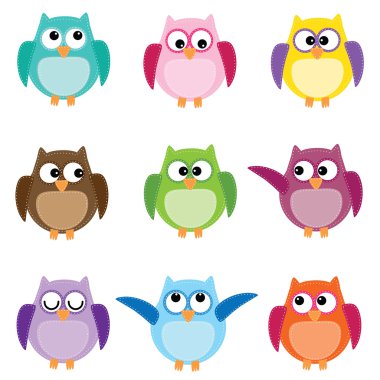 farklı renklerde dokuz baykuşlar grubu