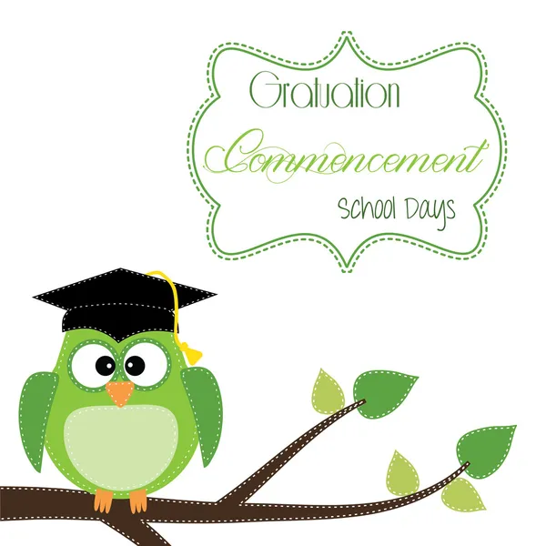 Owl with graduation cap sitting on branch Vector Graphics