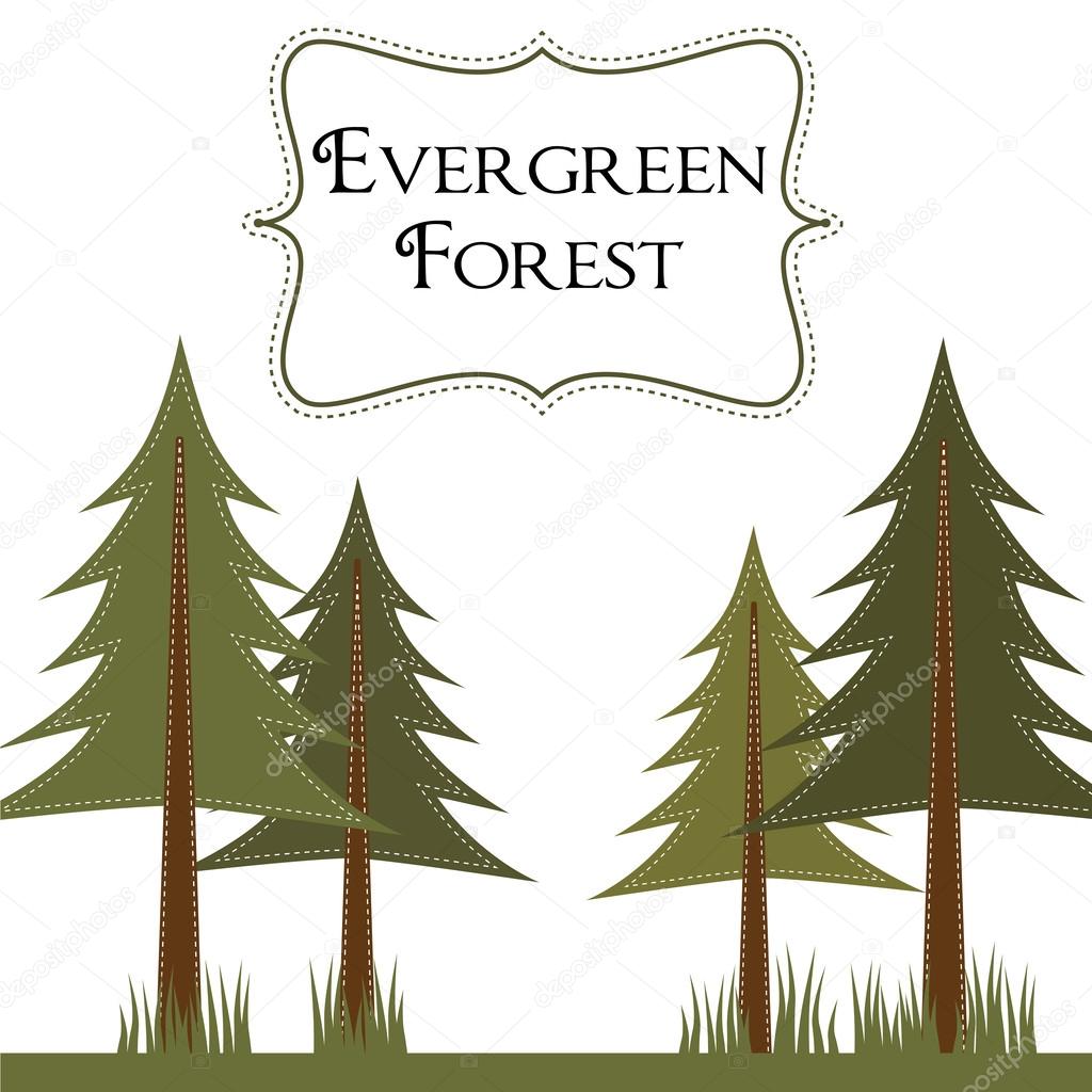 Forest template with pine trees