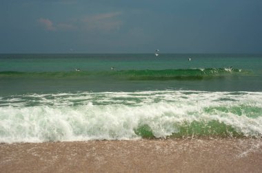 Altın kumlu zümrüt yeşili deniz. Kumsal bölgesi. Güneşli bir havada tropikal bir sahil ve yeşil bir denizin doğal manzarası..