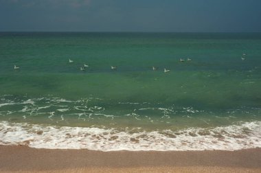 Altın kumlu zümrüt yeşili deniz. Kumsal bölgesi. Güneşli bir havada tropikal bir sahil ve yeşil bir denizin doğal manzarası..