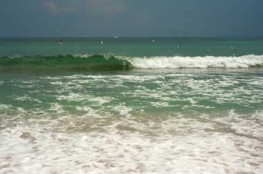 Altın kumlu zümrüt yeşili deniz. Kumsal bölgesi. Güneşli bir havada tropikal bir sahil ve yeşil bir denizin doğal manzarası..