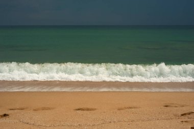 Altın kumlu zümrüt yeşili deniz. Kumsal bölgesi. Güneşli bir havada tropikal bir sahil ve yeşil bir denizin doğal manzarası..