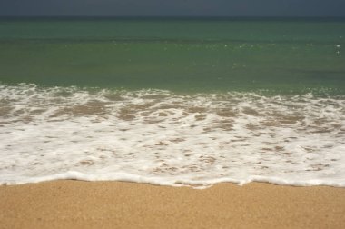 Altın kumlu zümrüt yeşili deniz. Kumsal bölgesi. Güneşli bir havada tropikal bir sahil ve yeşil bir denizin doğal manzarası..