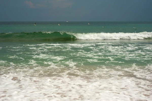 Altın kumlu zümrüt yeşili deniz. Kumsal bölgesi. Güneşli bir havada tropikal bir sahil ve yeşil bir denizin doğal manzarası..