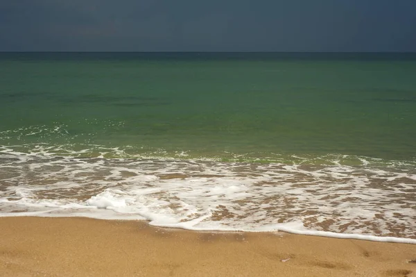 Altın kumlu zümrüt yeşili deniz. Kumsal bölgesi. Güneşli bir havada tropikal bir sahil ve yeşil bir denizin doğal manzarası..