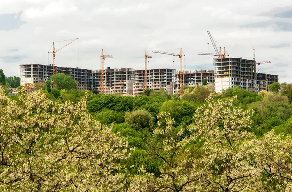 Greenbelt içinde — Stok fotoğraf