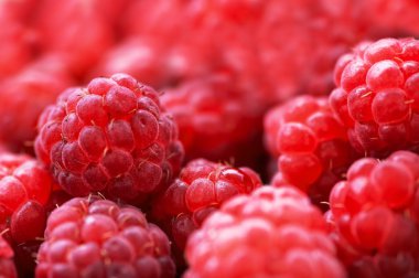 taze respberry yakın çekim, sağlıklı vitamin kavramı duvar kağıdı