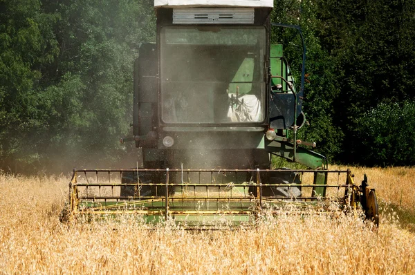 Combineren gele volnerf oogsten, late zomer oogst — Stockfoto