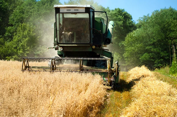 Cosechadora de granos Combinar la recolección de los cultivos de trigo —  Fotos de Stock